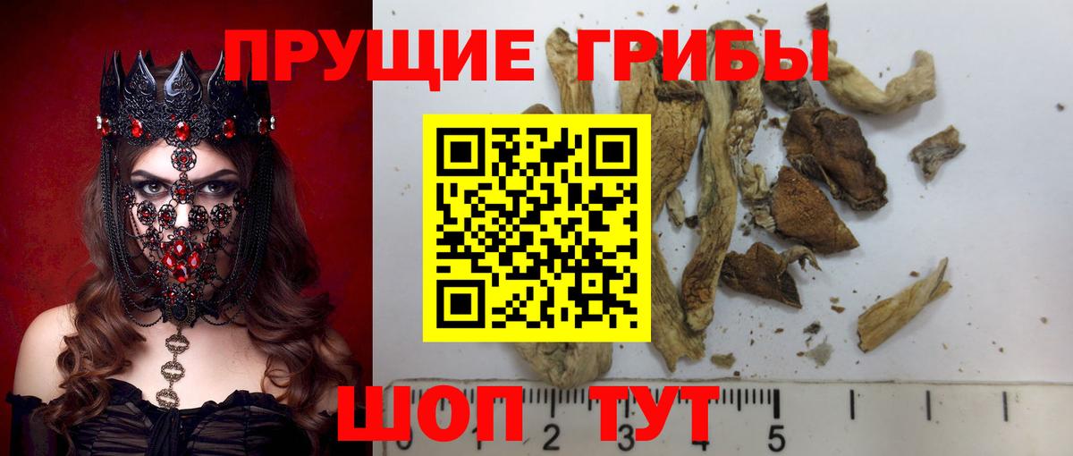 Псилоцибиновые грибы Magic Shrooms  Псилоцибиновые грибы MAGIC MUSHROOMS  что такое   Нерюнгри  Вход с VPN 