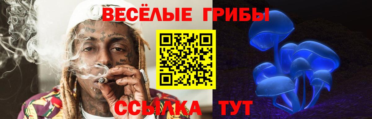 Псилоцибиновые грибы мицелий Нерюнгри